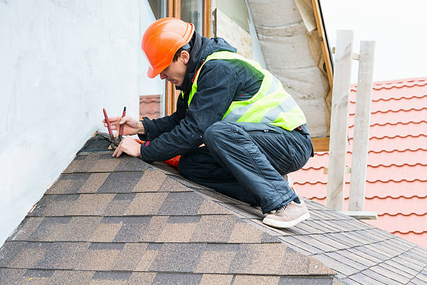 Professional Roofing Contractor in Web, AL